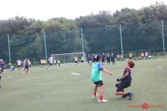Rookeis0803-140
