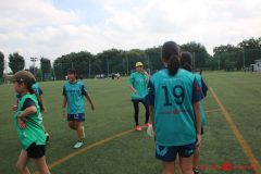 Rookeis0803-145