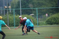 Rookeis0803-148
