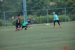 Rookeis0803-151