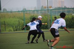 Rookeis0803-169