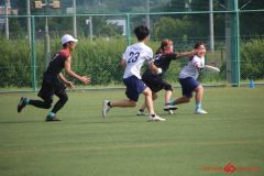 Rookeis0803-17