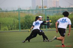 Rookeis0803-170