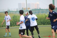 Rookeis0803-171