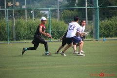 Rookeis0803-18