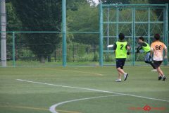 Rookeis0803-185