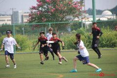 Rookeis0803-19