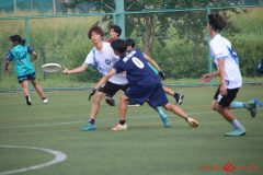 Rookeis0803-196
