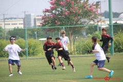 Rookeis0803-20