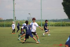 Rookeis0803-203
