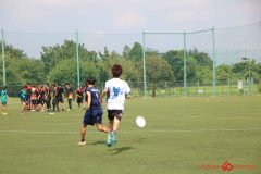 Rookeis0803-206