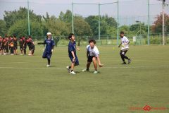 Rookeis0803-208