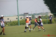 Rookeis0803-217