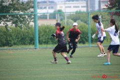 Rookeis0803-22