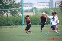 Rookeis0803-23