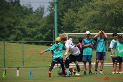 Rookeis0803-230