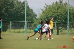 Rookeis0803-231