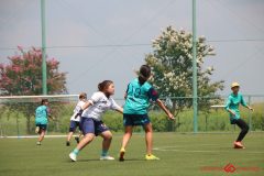Rookeis0803-234