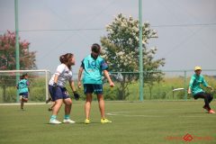Rookeis0803-235