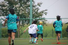 Rookeis0803-243
