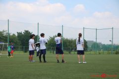 Rookeis0803-245
