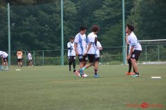 Rookeis0803-249