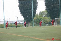 Rookeis0803-250