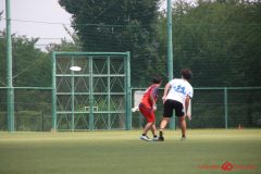 Rookeis0803-254