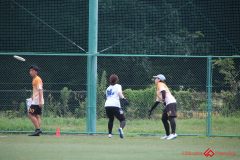 Rookeis0803-265