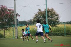 Rookeis0803-273