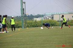 Rookeis0803-289
