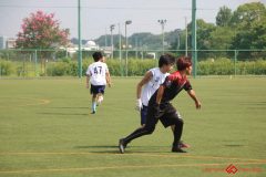 Rookeis0803-29
