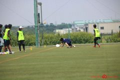 Rookeis0803-290