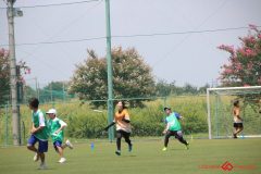 Rookeis0803-291