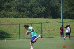 Rookeis0803-293