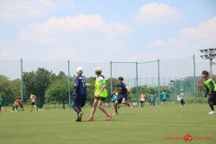 Rookeis0803-298