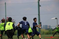 Rookeis0803-299
