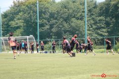 Rookeis0803-302