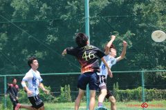 Rookeis0803-303