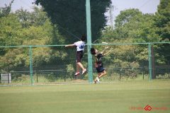 Rookeis0803-307