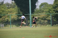 Rookeis0803-308