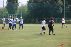 Rookeis0803-31