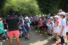 Rookeis0803-314