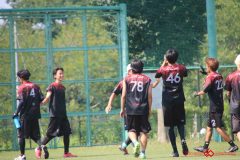 Rookeis0803-335