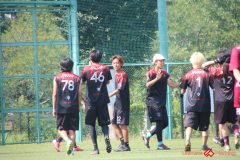Rookeis0803-336