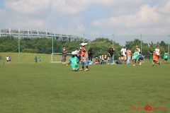 Rookeis0803-42