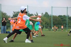 Rookeis0803-50