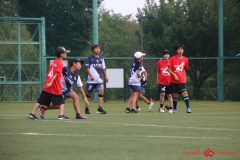 Rookeis0803-53