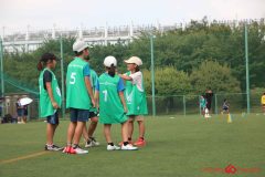 Rookeis0803-60