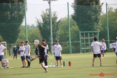 Rookeis0803-7